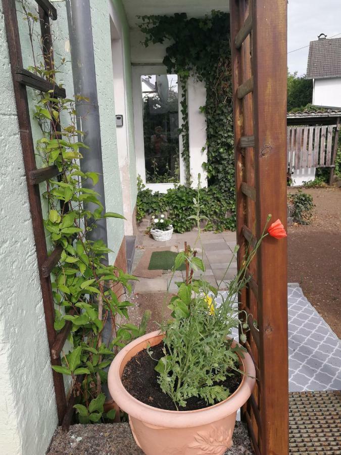 Appartement Eifel Im Haus Sybille Кельберг Экстерьер фото